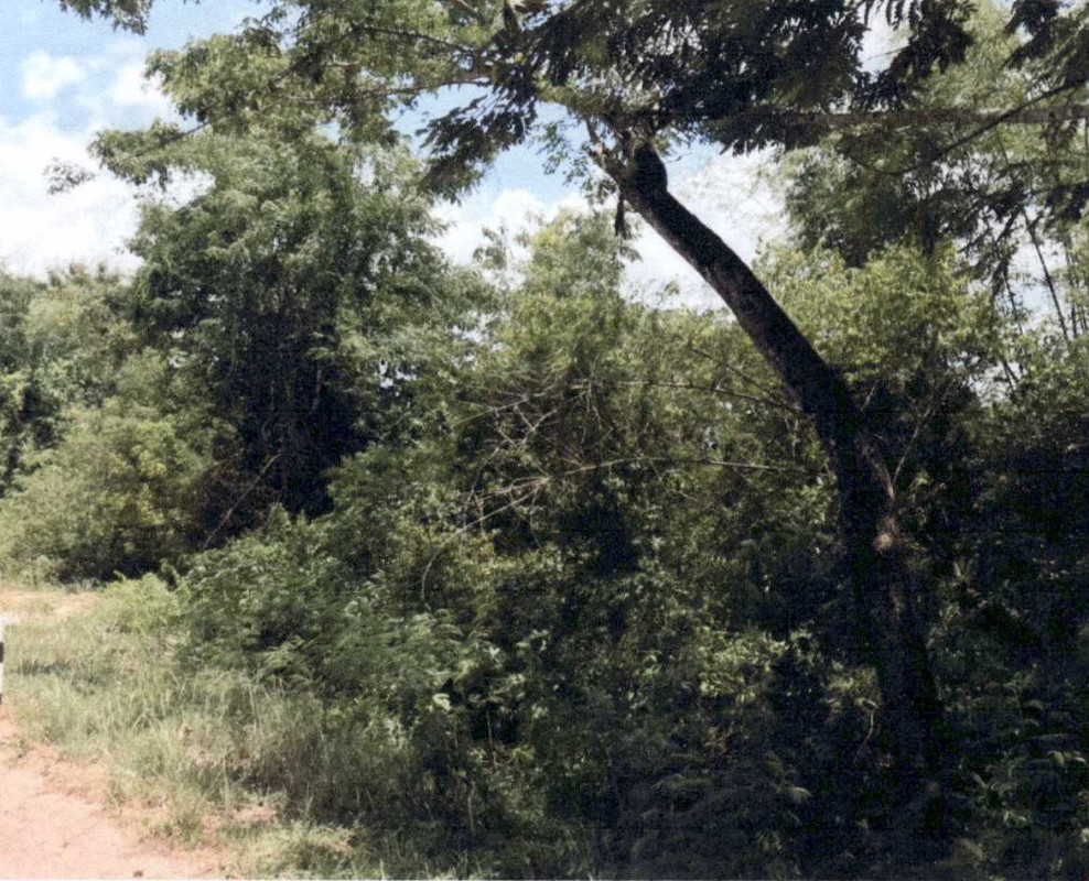 ที่ดินเปล่า นครศรีธรรมราช ชะอวด ควนหนองหงษ์ 1745900