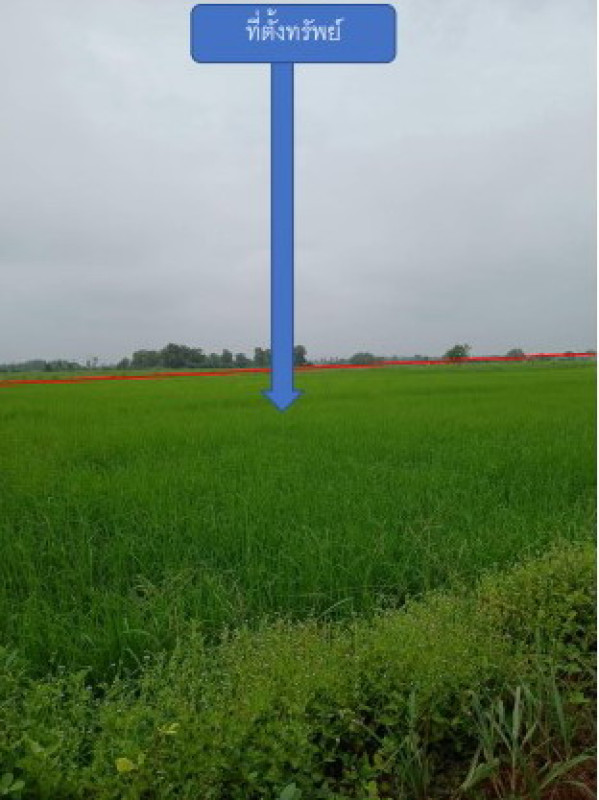 ที่ดินเปล่า ฉะเชิงเทรา ราชสาส์น ดงน้อย 1100000
