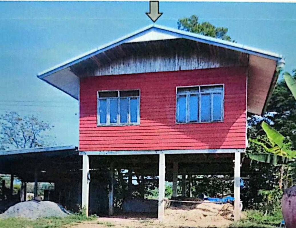 บ้านเดี่ยว หนองบัวลำภู โนนสัง โนนเมือง 299461