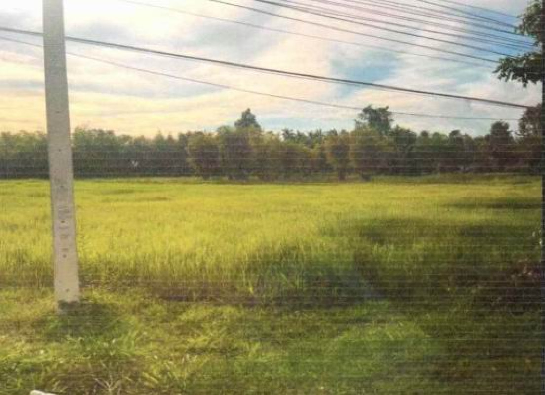 ที่ดินเปล่า สกลนคร ส่องดาว ปทุมวาปี 527580