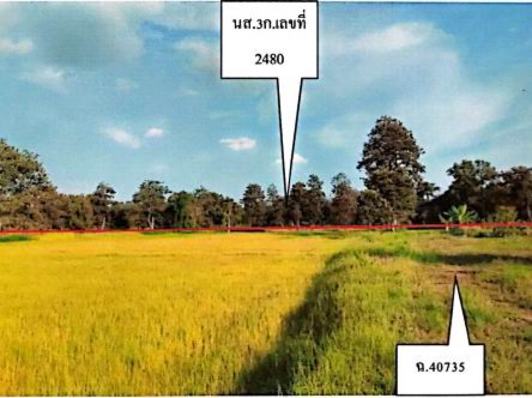 ที่ดินเปล่า บุรีรัมย์ พุทไธสง พุทไธสง 348075
