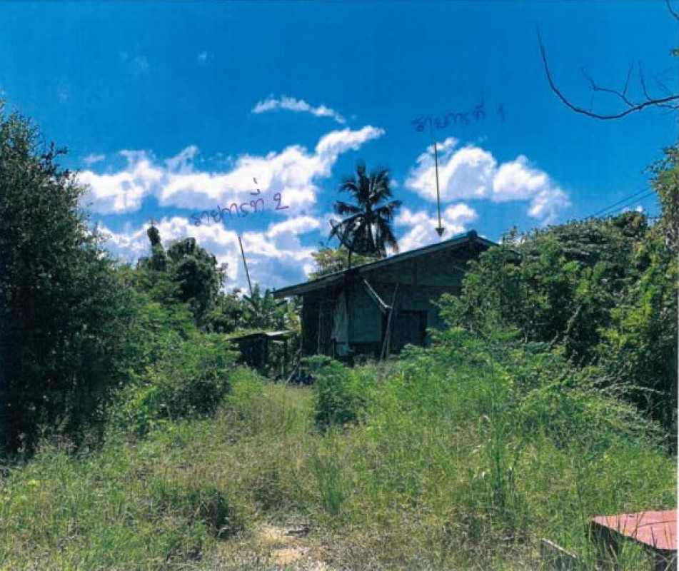 บ้านเดี่ยว กำแพงเพชร ลานกระบือ บึงทับแรต 495370