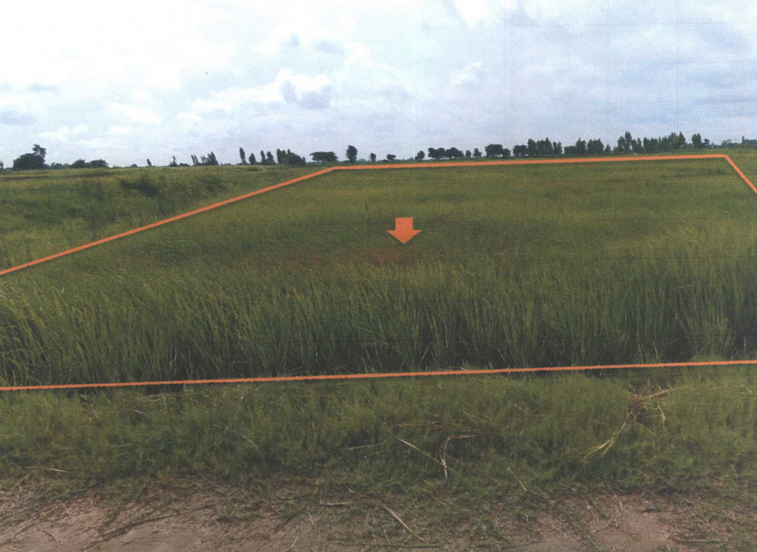 ที่ดินเปล่า มหาสารคาม เมืองมหาสารคาม ท่าสองคอน 163350