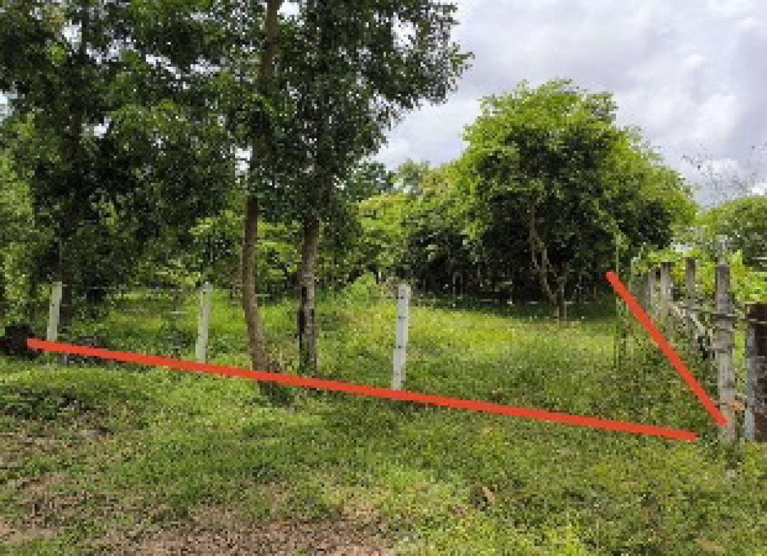 ที่ดินเปล่า มหาสารคาม พยัคฆภูมิพิสัย หนองบัว 30000