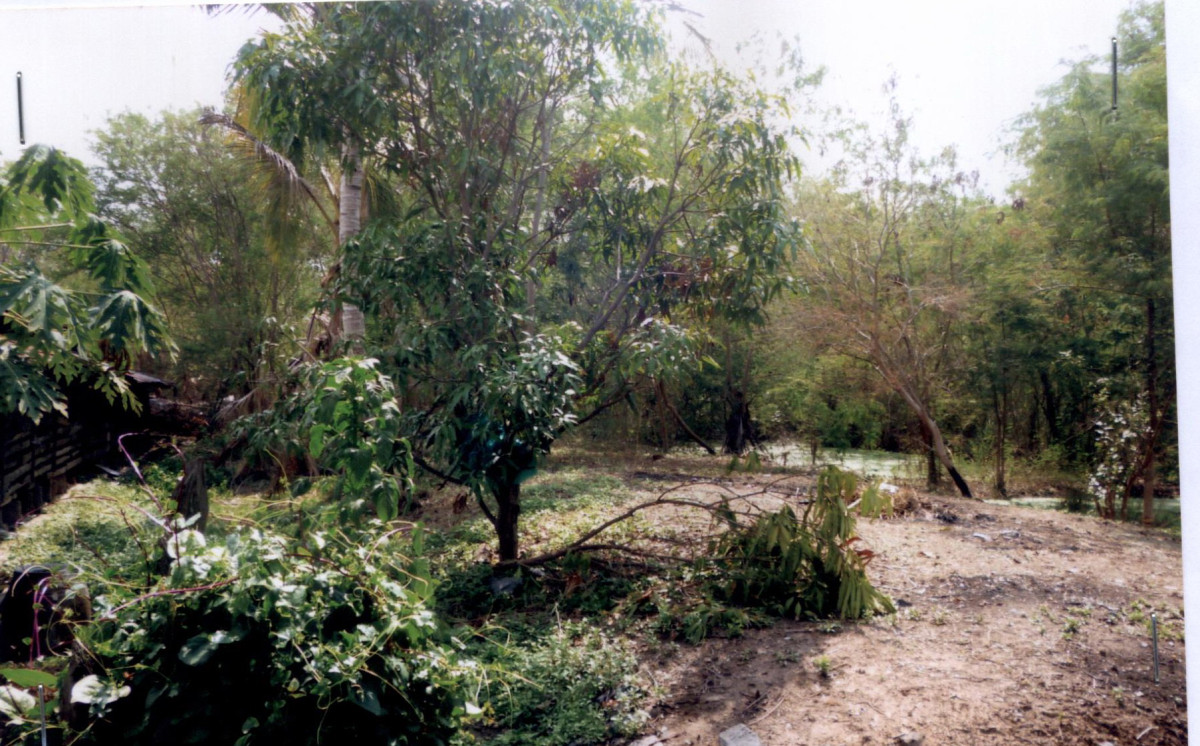 ที่ดินเปล่า บุรีรัมย์ ประโคนชัย บ้านไทร 36600