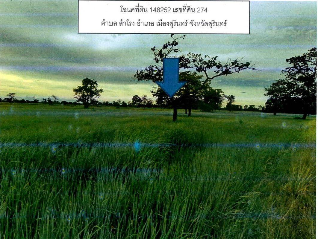 ที่ดินเปล่า สุรินทร์ เมืองสุรินทร์ สำโรง 203000