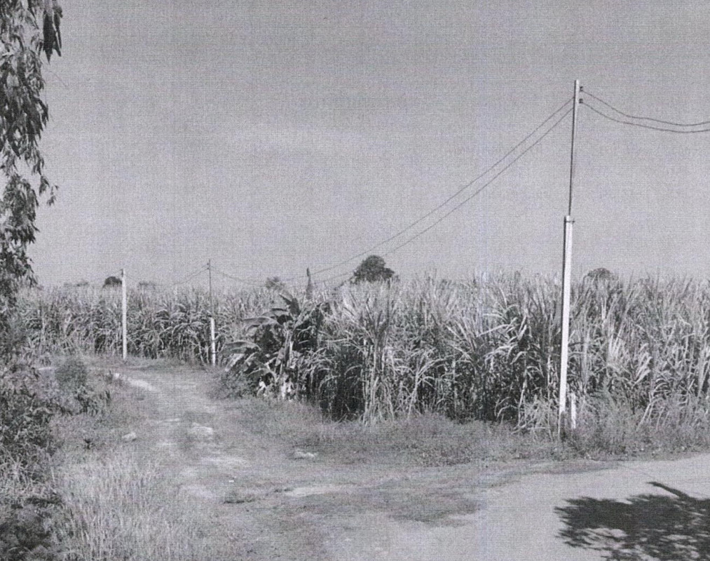 ที่ดินเปล่า ขอนแก่น หนองเรือ จระเข้ 271665