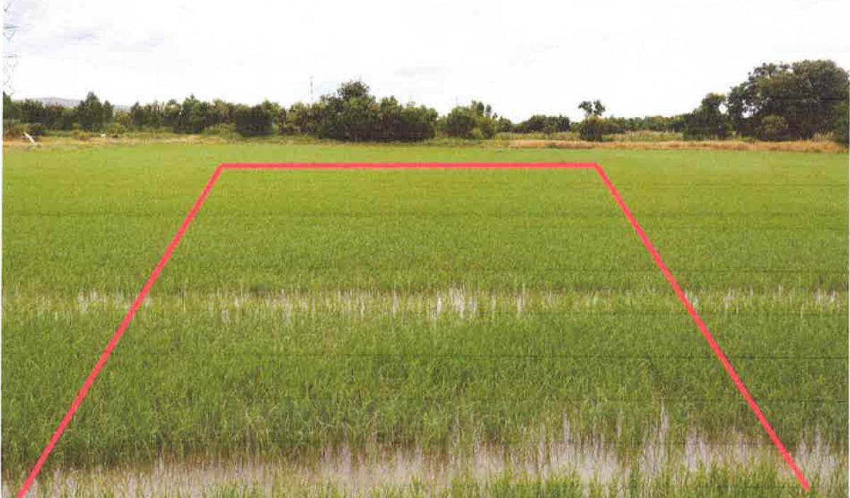 ที่ดินเปล่า ปทุมธานี ลาดหลุมแก้ว หน้าไม้ 528000