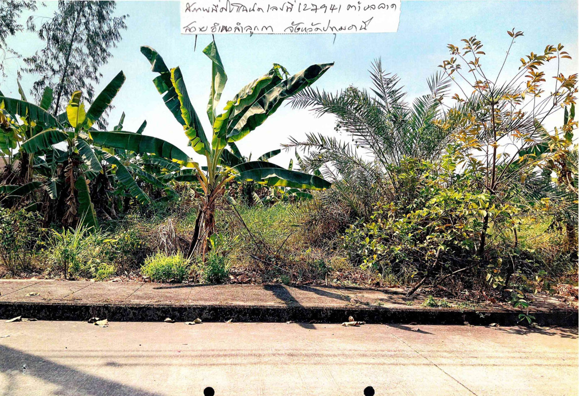 ที่ดินเปล่า ปทุมธานี ลำลูกกา ลาดสวาย 1193200