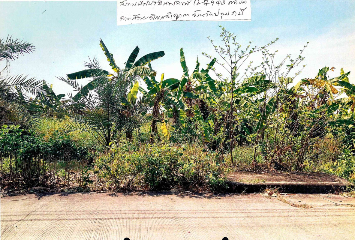 ที่ดินเปล่า ปทุมธานี ลำลูกกา ลาดสวาย 1200800