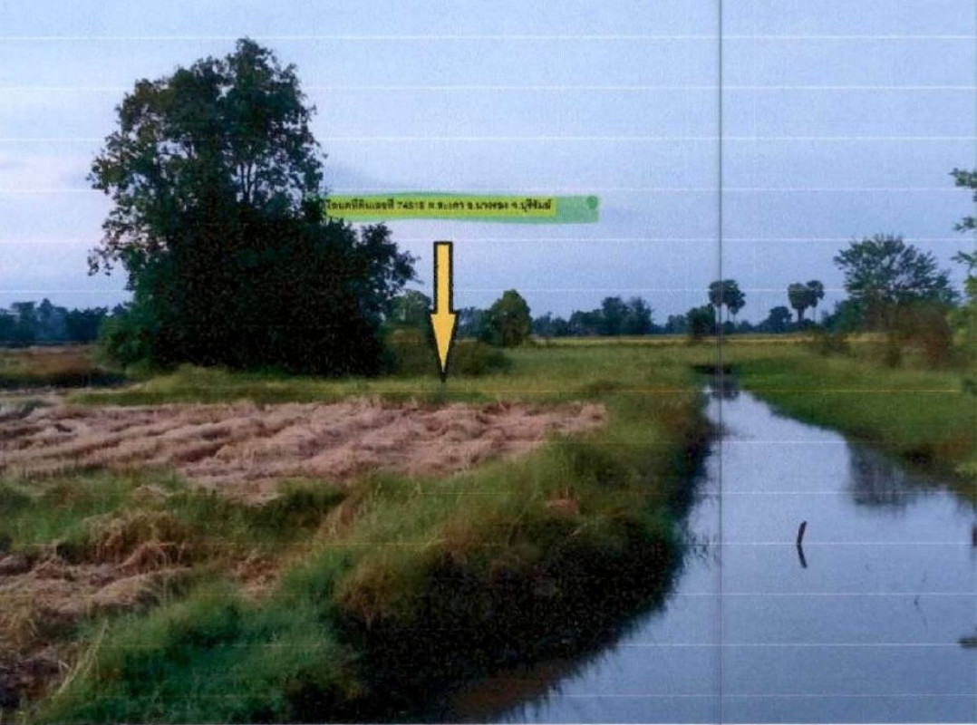ที่ดินเปล่า บุรีรัมย์ นางรอง หนองไทร 29400