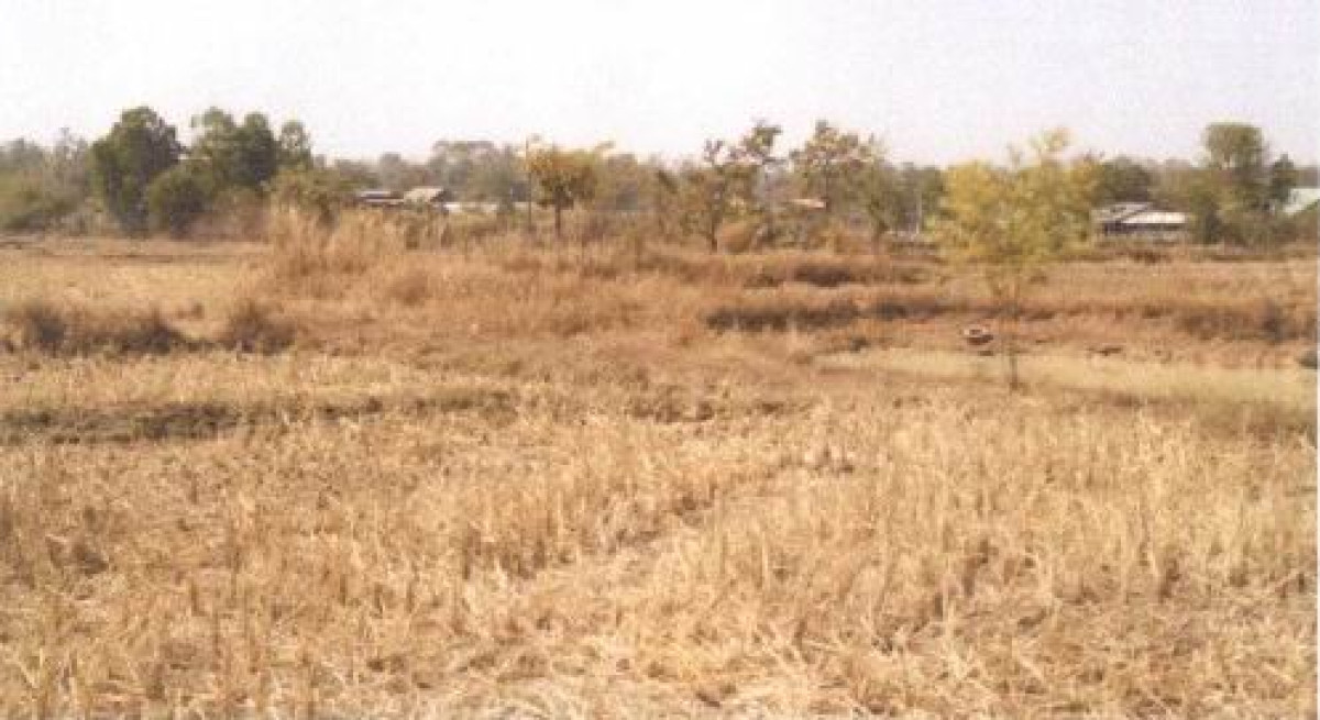 ที่ดินเปล่า สกลนคร สว่างแดนดิน สว่างแดนดิน 17820