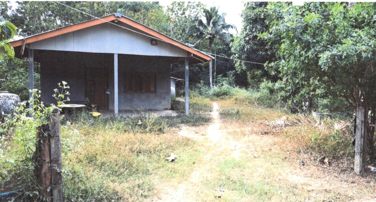 บ้านเดี่ยว มุกดาหาร ดงหลวง ชะโนดน้อย 369360