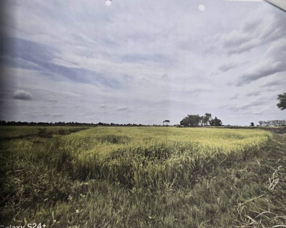 ที่ดินเปล่า พิษณุโลก บางระกำ ท่านางงาม 1726400