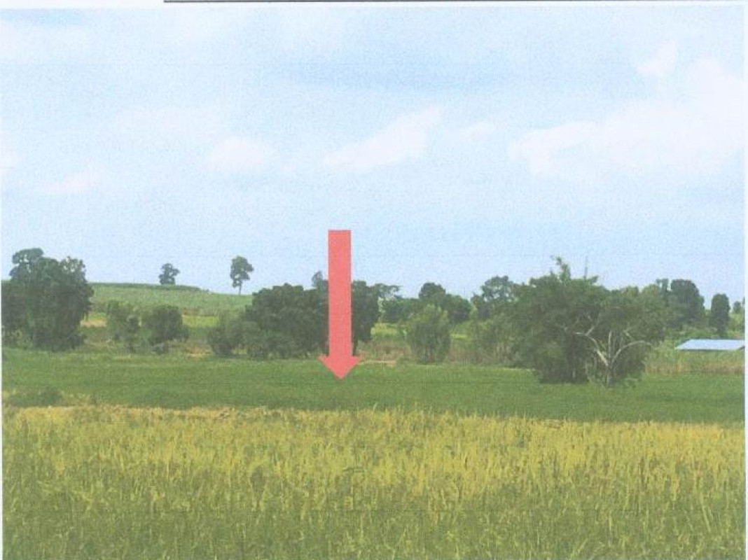 ที่ดินเปล่า มหาสารคาม โกสุมพิสัย ยางท่าแจ้ง 64000