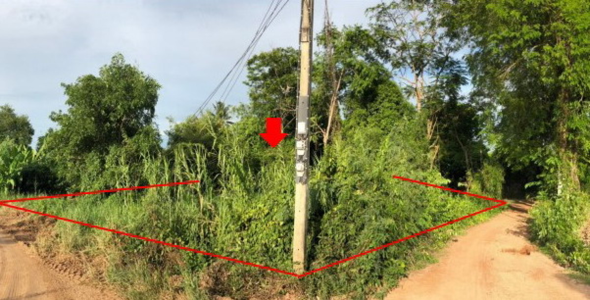 ที่ดินเปล่า พิษณุโลก วังทอง แม่ระกา 52000