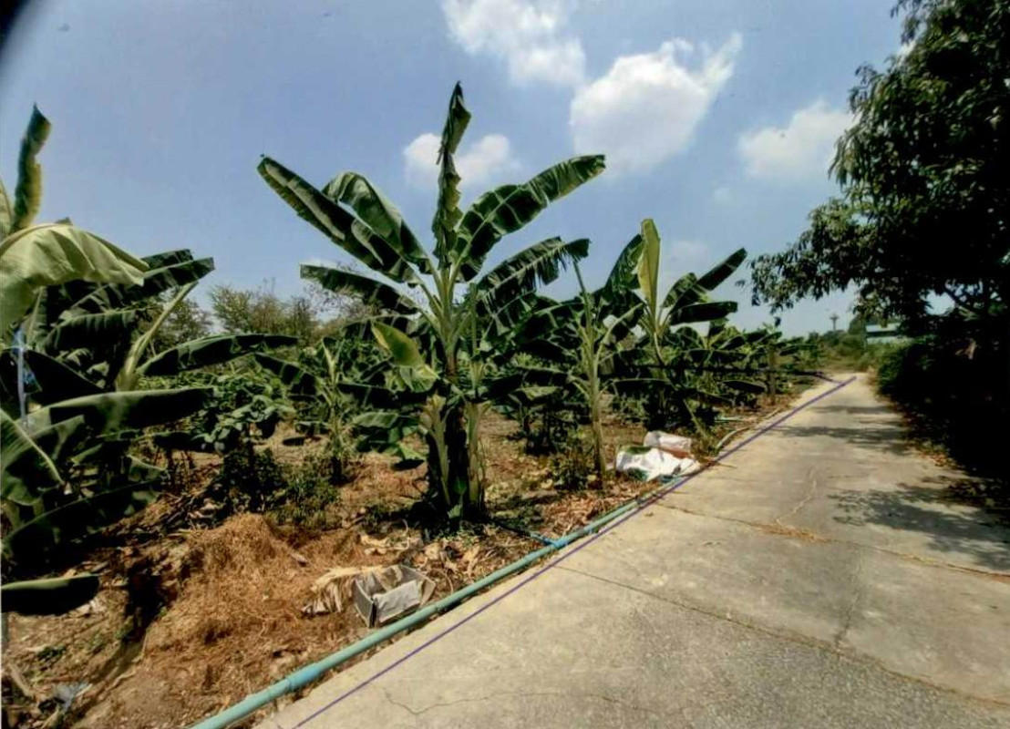 ที่ดินเปล่า พระนครศรีอยุธยา พระนครศรีอยุธยา สวนพริก 348000