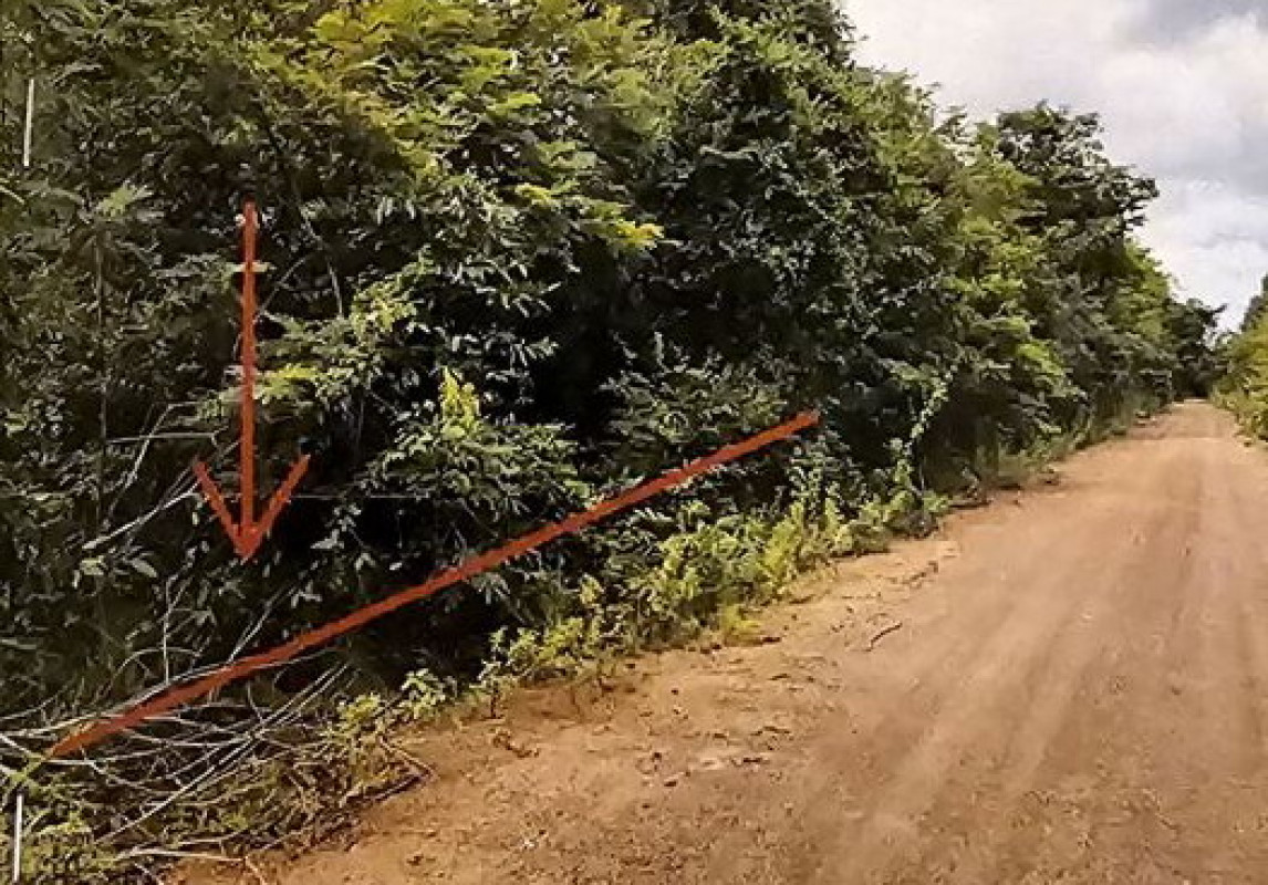 ที่ดินเปล่า อุดรธานี เพ็ญ เพ็ญ 180000