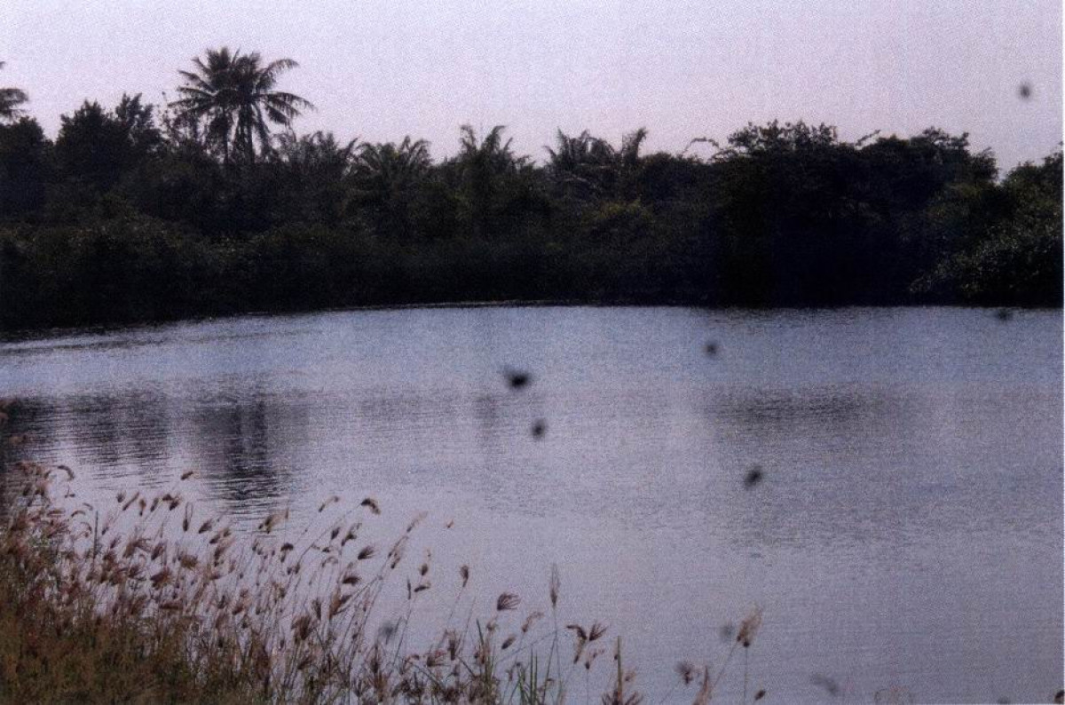 ที่ดินเปล่า ประจวบคีรีขันธ์ เมืองประจวบคีรีขันธ์ บ่อนอก 208500