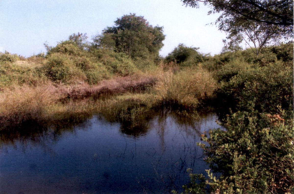 ที่ดินเปล่า ประจวบคีรีขันธ์ เมืองประจวบคีรีขันธ์ บ่อนอก 208500