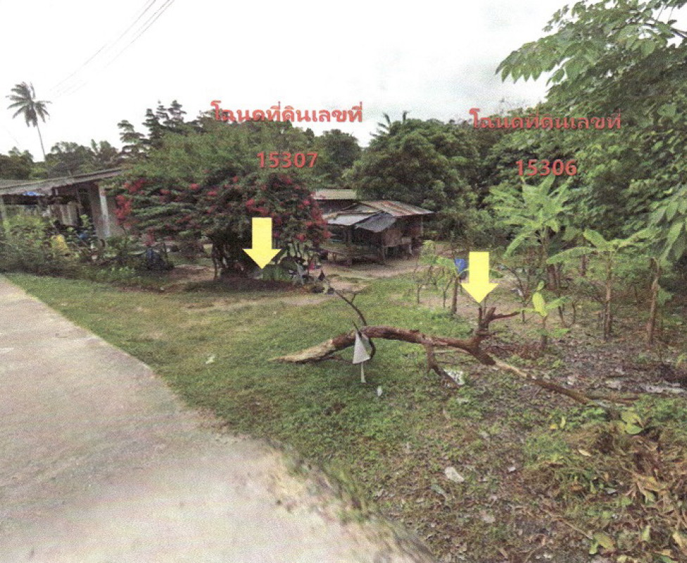 ที่ดินเปล่า พังงา ท้ายเหมือง นาเตย 142800