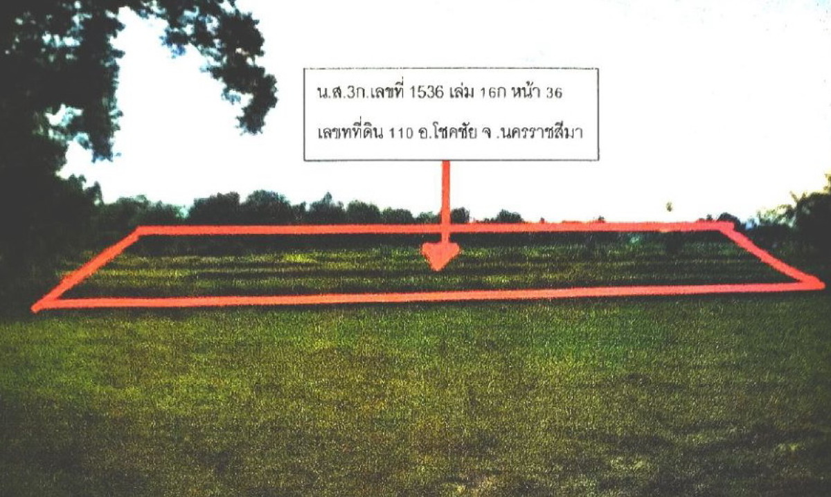 ที่ดินเปล่า นครราชสีมา โชคชัย โชคชัย 160100