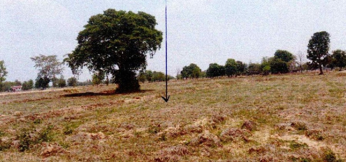 ที่ดินเปล่า บุรีรัมย์ นางรอง หนองโสน 822150