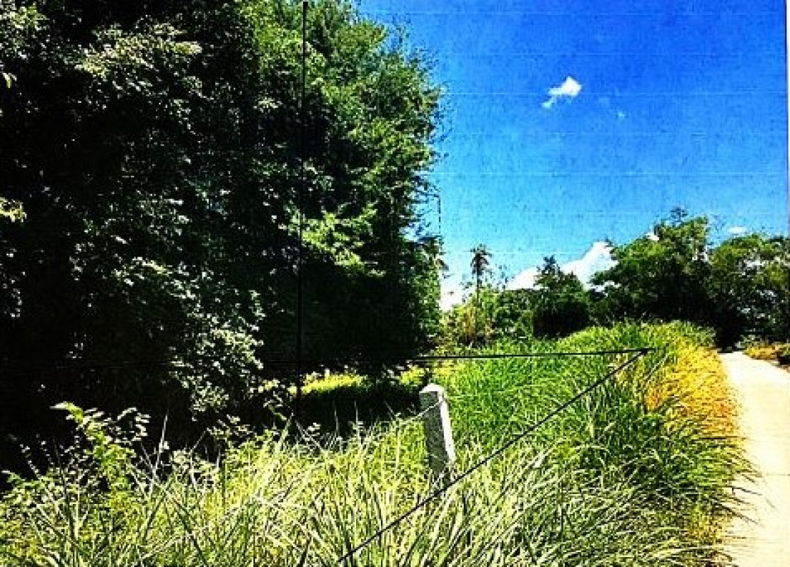 ที่ดินเปล่า พิษณุโลก เมืองพิษณุโลก สมอแข 131506