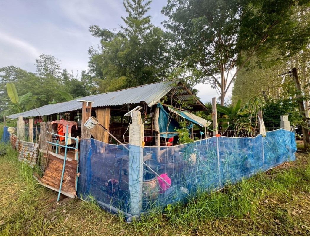 บ้านเดี่ยว มหาสารคาม เมืองมหาสารคาม แวงน่าง 4206000