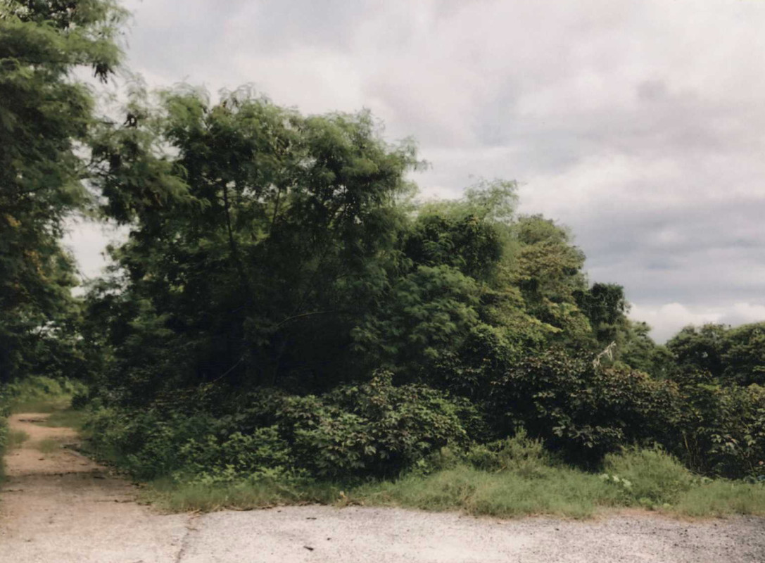 ที่ดินเปล่า ระยอง เมืองระยอง ปากน้ำ 27752270