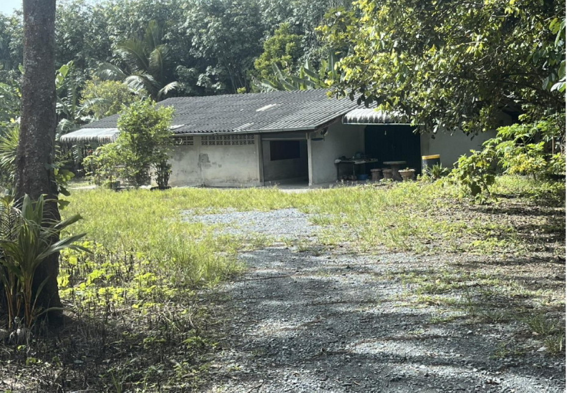 บ้านเดี่ยว นครศรีธรรมราช ทุ่งสง ที่วัง 1190850