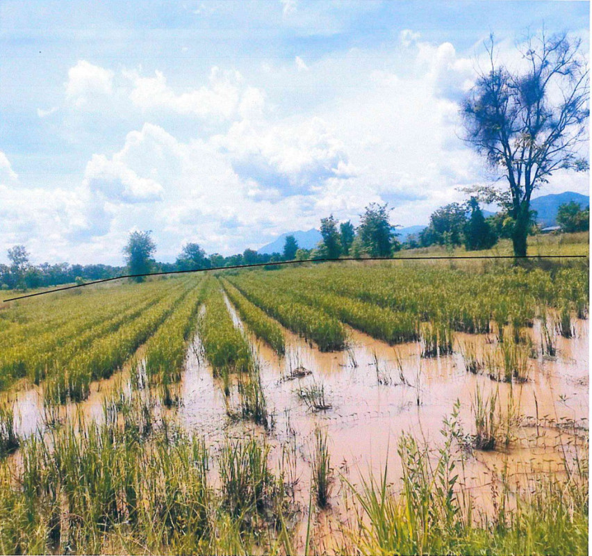 ที่ดินเปล่า สุโขทัย เมืองสุโขทัย เมืองเก่า 655889