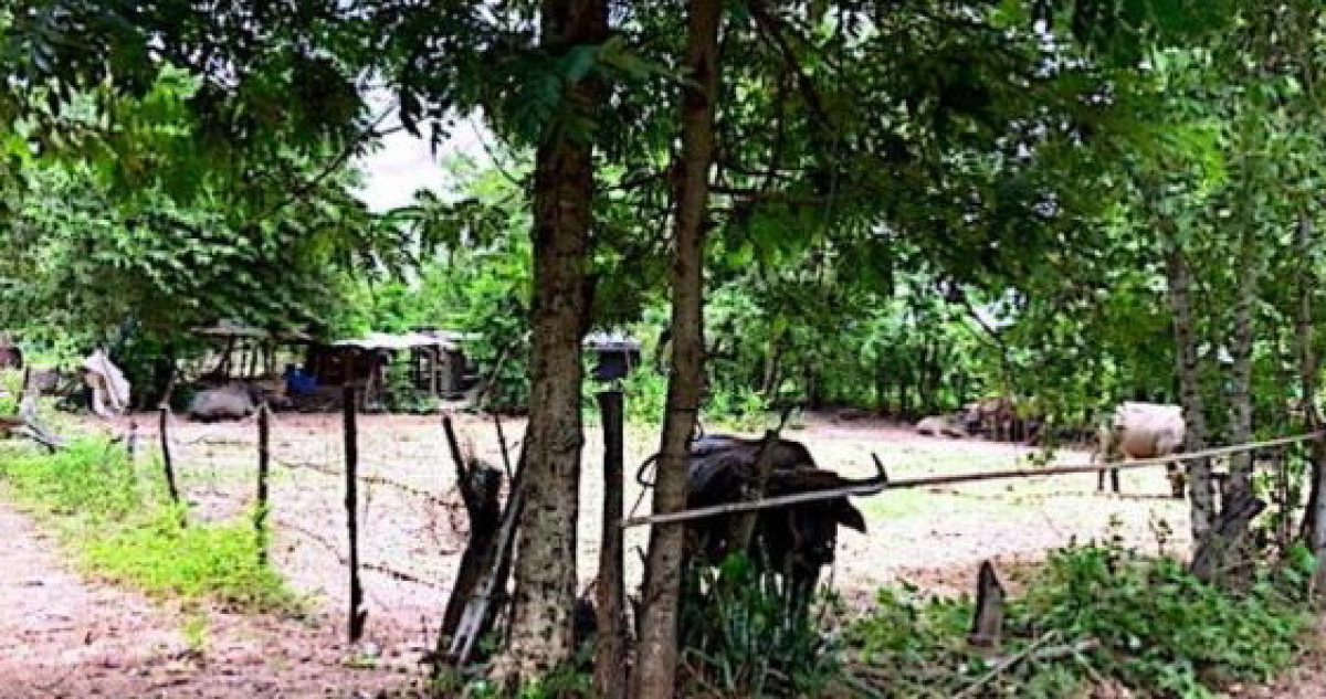 ที่ดินเปล่า มหาสารคาม วาปีปทุม ขามป้อม 366210