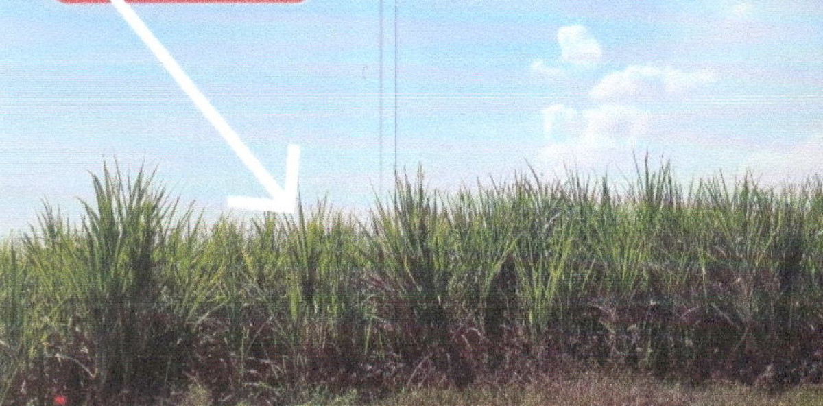 ที่ดินเปล่า สุพรรณบุรี อู่ทอง บ้านโข้ง 40000