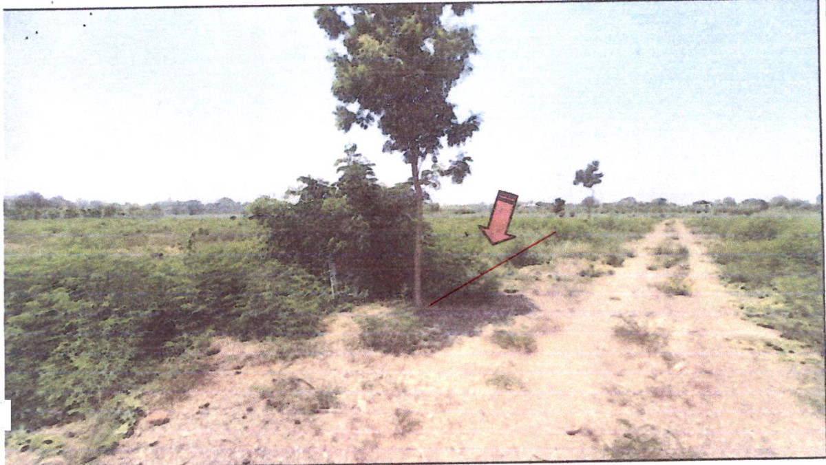 ที่ดินเปล่า นครปฐม กำแพงแสน กระตีบ 29100