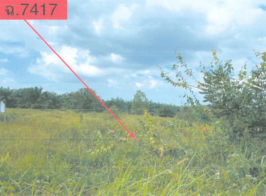 ที่ดินเปล่า สุราษฎร์ธานี กาญจนดิษฐ์ ช้างขวา 41000