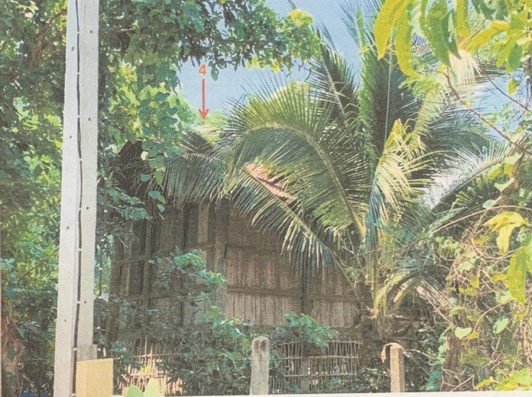 บ้านเดี่ยว ขอนแก่น สีชมพู นาจาน 510135