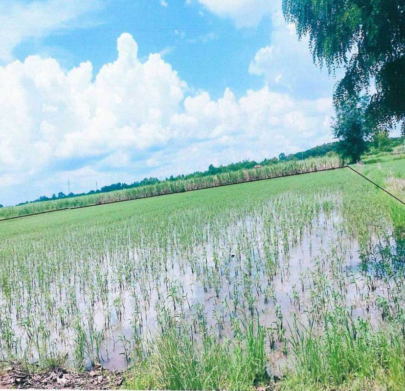 Residential land/lot Sukhothai Sri Nakhon Khlong Maphlap 522000