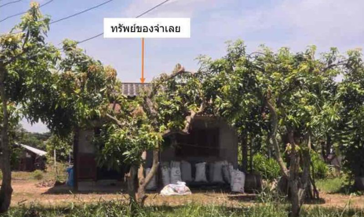 บ้านเดี่ยว สุโขทัย ศรีนคร คลองมะพลับ 499440