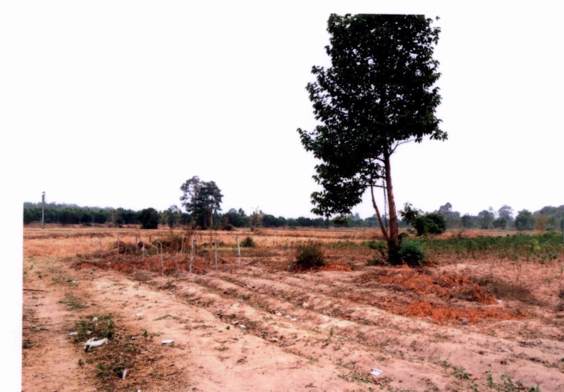 ที่ดินเปล่า บุรีรัมย์ คูเมือง หนองขมาร 1737600