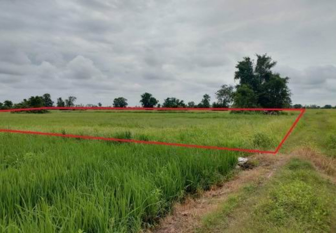 ที่ดินเปล่า กำแพงเพชร ทรายทองวัฒนา ทุ่งทราย 586430