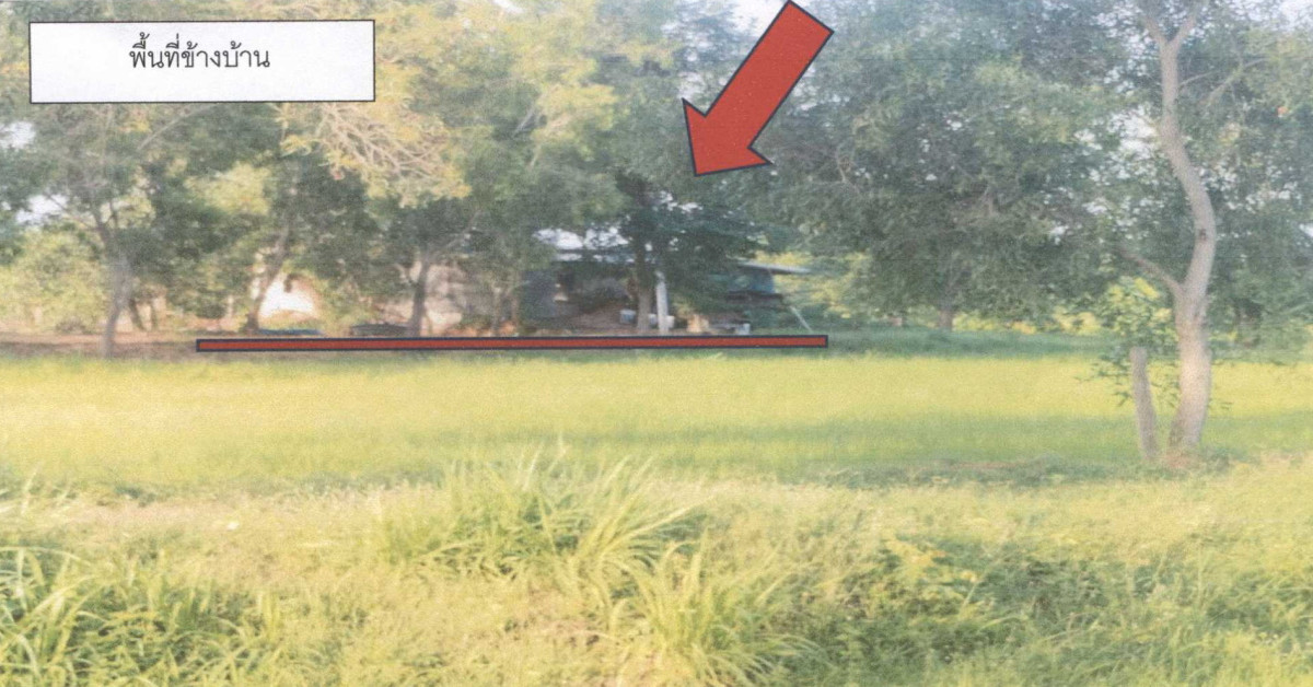 บ้านเดี่ยว มหาสารคาม เชียงยืน เสือเฒ่า 3365800