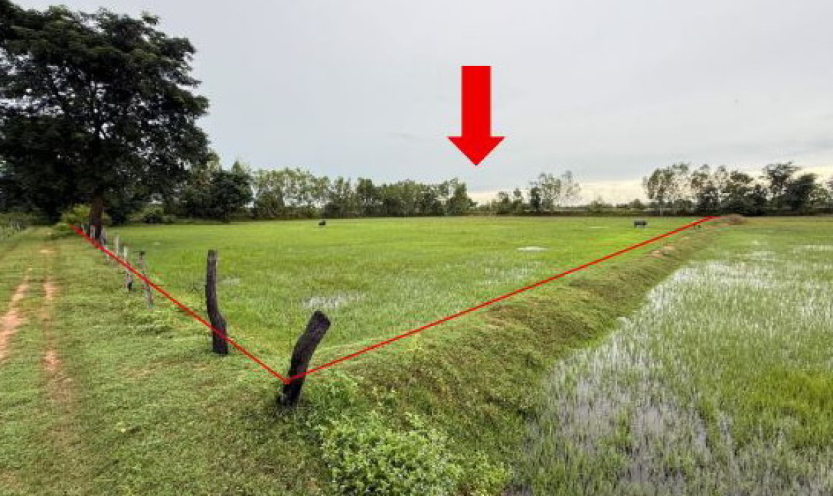 ที่ดินเปล่า มหาสารคาม นาดูน ดงดวน 803750