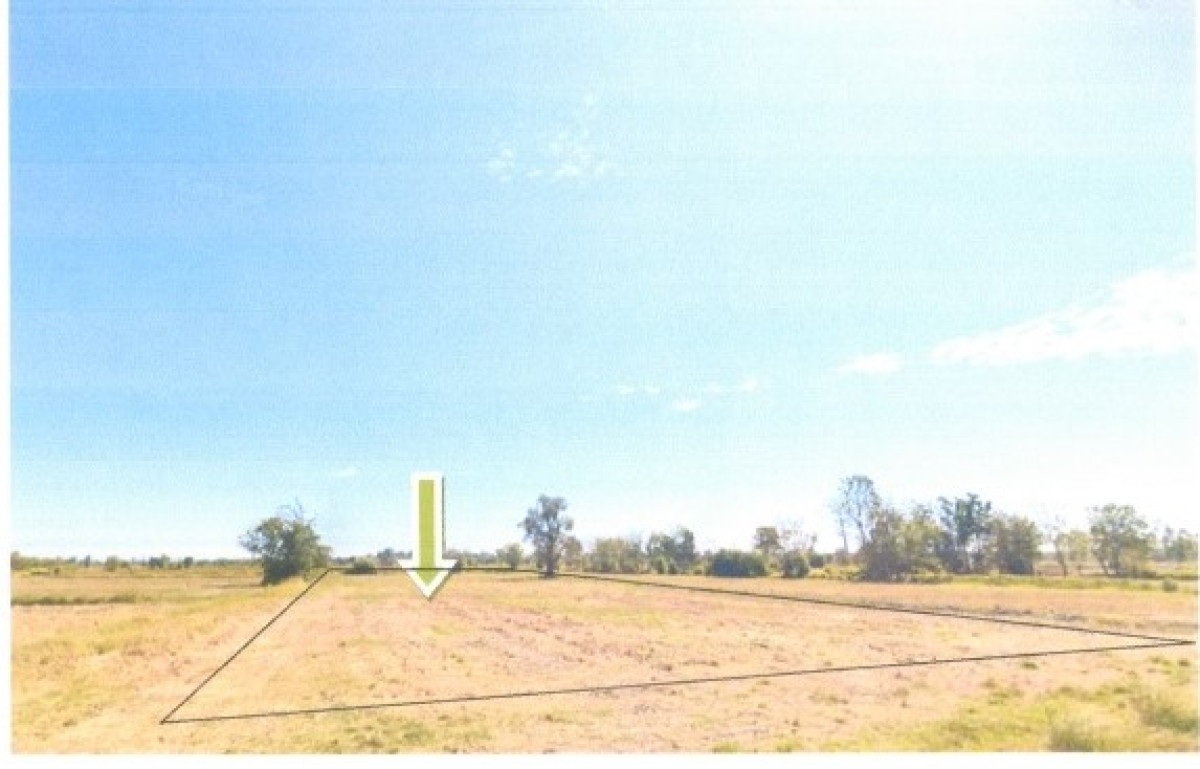 ที่ดินเปล่า บุรีรัมย์ สตึก สะแก 306750