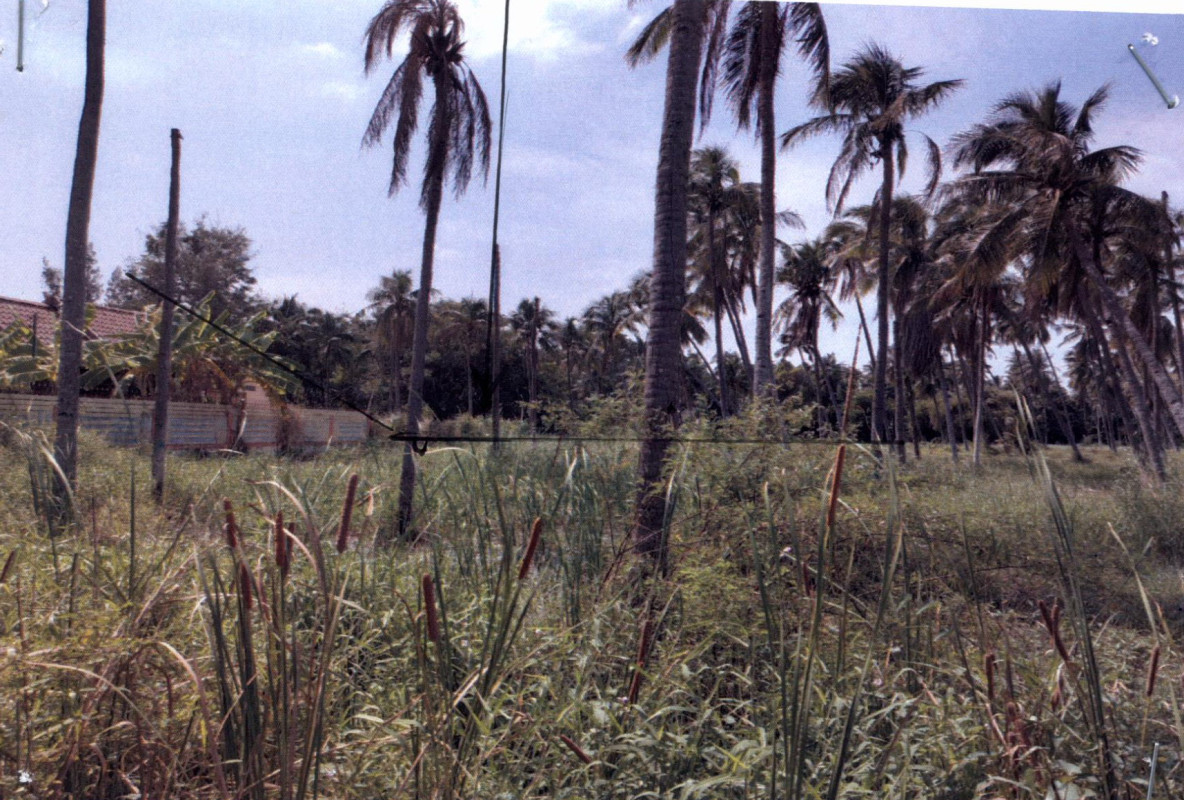 ที่ดินเปล่า ประจวบคีรีขันธ์ เมืองประจวบคีรีขันธ์ ประจวบคีรีขันธ์ 600000
