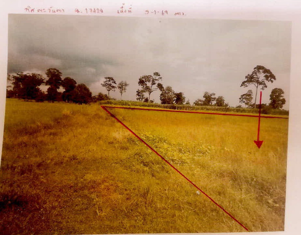 ที่ดินเปล่า สุรินทร์ กาบเชิง แนงมุด 433800