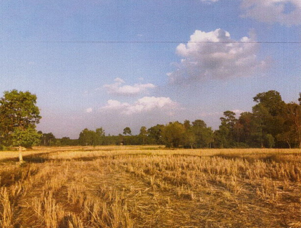 บ้านเดี่ยว มุกดาหาร เมืองมุกดาหาร ดงมอน 289180