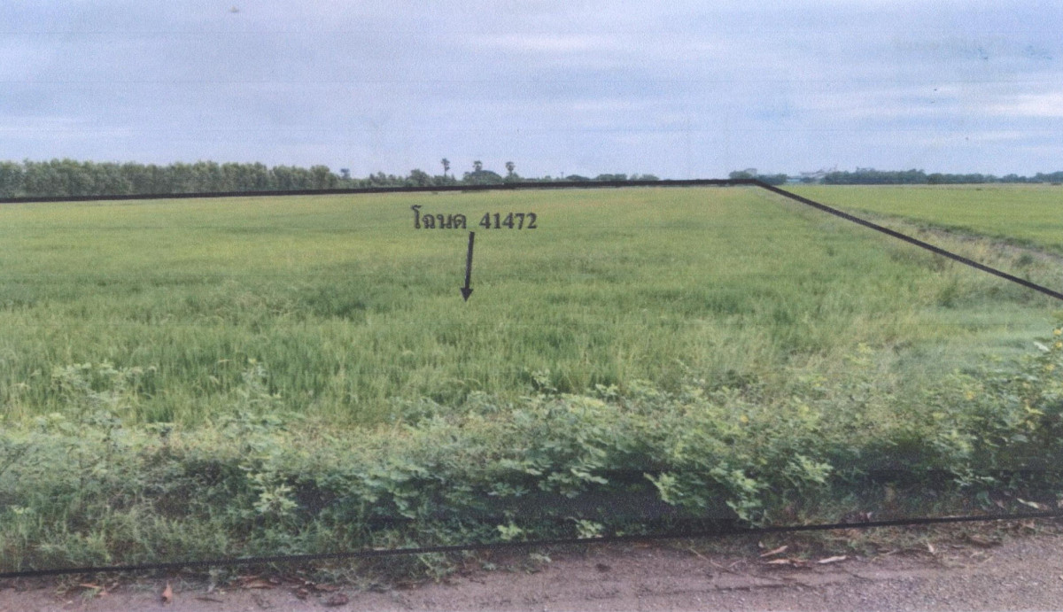 Residential land/lot Phitsanulok Wang Thong Nong Phra 395460