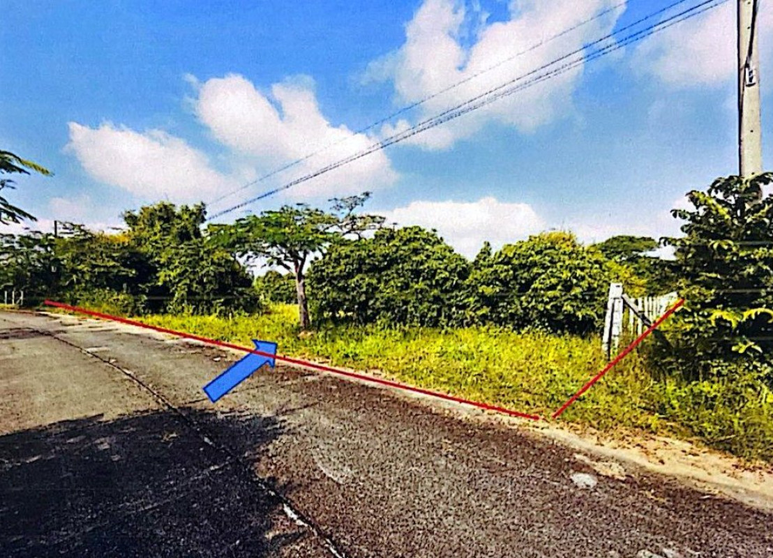 ที่ดินเปล่า ลำพูน เมืองลำพูน หนองหนาม 1056200