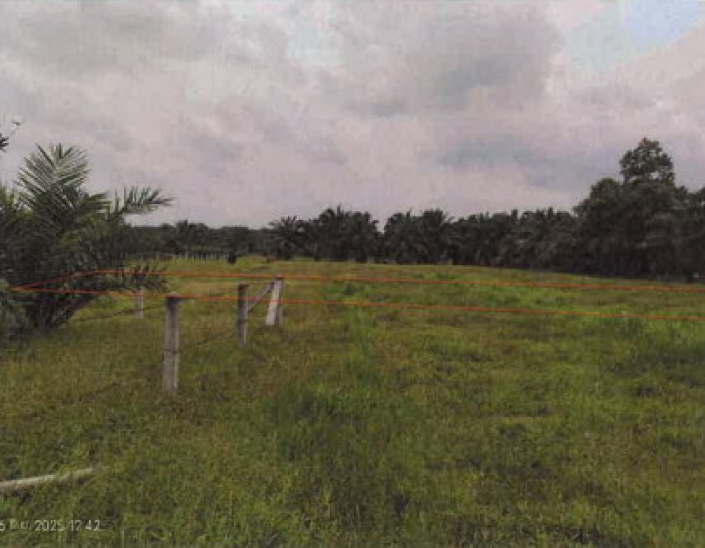 บ้านเดี่ยว นครศรีธรรมราช เมืองนครศรีธรรมราช ท่าเรือ 3222946